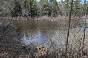 252 Merrymeeting Rd, New Durham, NH 03855 - Photo 3