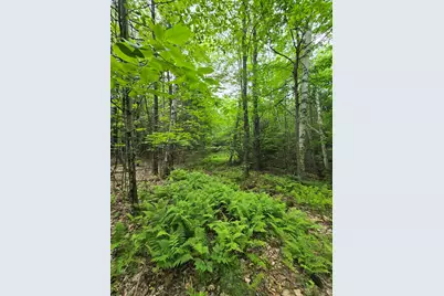 882 Morse Road, Haverhill, NH 03774 - Photo 29