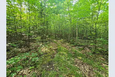 882 Morse Road, Haverhill, NH 03774 - Photo 39