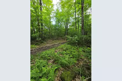 882 Morse Road, Haverhill, NH 03774 - Photo 25