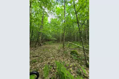 882 Morse Road, Haverhill, NH 03774 - Photo 23