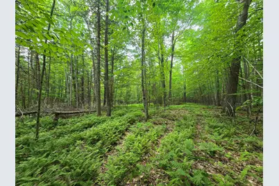 882 Morse Road, Haverhill, NH 03774 - Photo 31