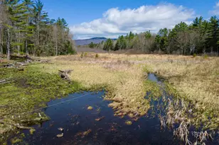 193 Croydon Turnpike, Croydon, NH 03773 - Photo 1