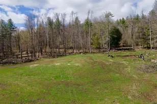 193 Croydon Turnpike, Croydon, NH 03773 - Photo 5
