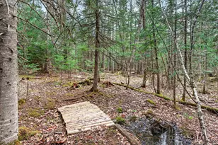 10 Mount Lafayette Way, Bethlehem, NH 03574 - Photo 47