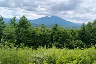 0 Cat Hole Rd, Claremont, NH 03743 - Photo 1