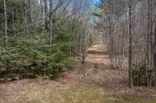 14 Lloyd St, Campton, NH 03223 - Photo 45