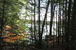 14A Angel Point Circle, Goffstown, NH 03045 - Photo 47