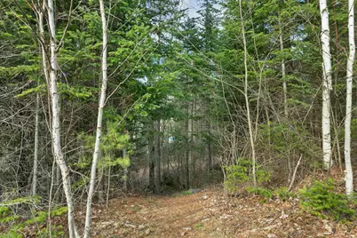 72 Black Bear Road, Carroll, NH 03595 - Photo 49