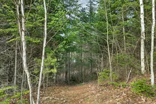72 Black Bear Rd, Carroll, NH 03595 - Photo 49
