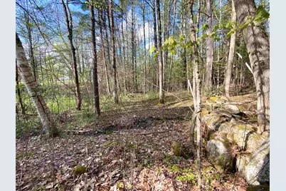 364 Bonnyvale Road, Brattleboro, VT 05301 - Photo 29