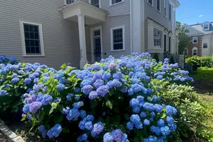 353 Pleasant St, Portsmouth, NH 03801 - Photo 27