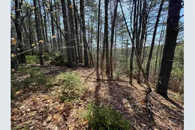 00 Province Lake Road, Effingham, NH 03882 - Photo 31