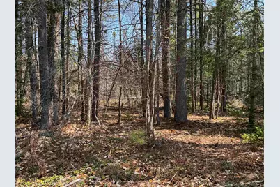 00 Province Lake Road, Effingham, NH 03882 - Photo 21