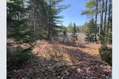 00 Province Lake Road, Effingham, NH 03882 - Photo 47