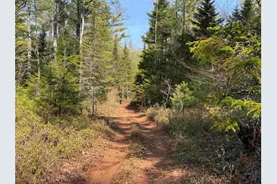 00 Province Lake Road, Effingham, NH 03882 - Photo 53