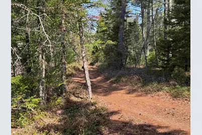 00 Province Lake Road, Effingham, NH 03882 - Photo 7