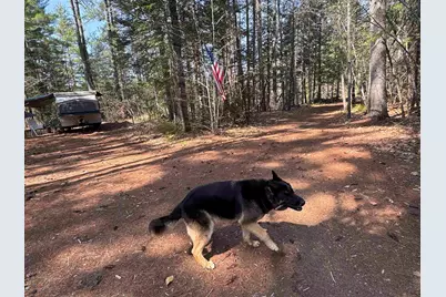 00 Province Lake Road, Effingham, NH 03882 - Photo 1