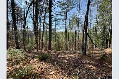 00 Province Lake Road, Effingham, NH 03882 - Photo 29