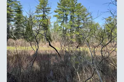 00 Province Lake Road, Effingham, NH 03882 - Photo 55