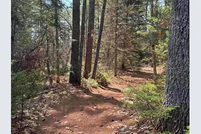 00 Province Lake Road, Effingham, NH 03882 - Photo 23