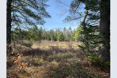 00 Province Lake Road, Effingham, NH 03882 - Photo 5