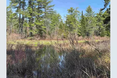 00 Province Lake Road, Effingham, NH 03882 - Photo 13