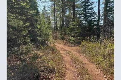 00 Province Lake Road, Effingham, NH 03882 - Photo 19