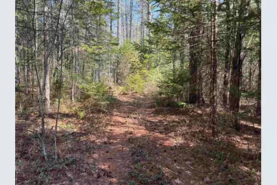 00 Province Lake Road, Effingham, NH 03882 - Photo 17