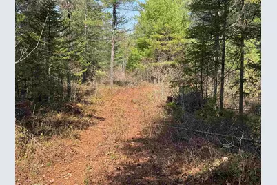 00 Province Lake Road, Effingham, NH 03882 - Photo 9