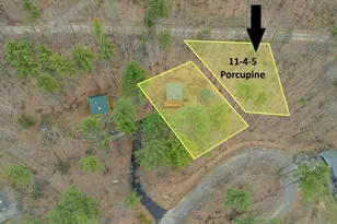 11 4 5 Porcupine Dr, Campton, NH 03223 - Photo 1