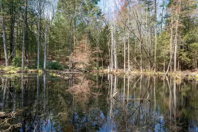 34 Cleveland Hill Road, Brookline, NH 03033 - Photo 49