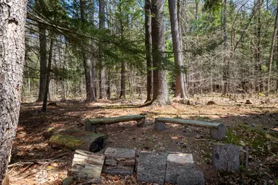 334 Brush Brook Road, Dublin, NH 03444 - Photo 49