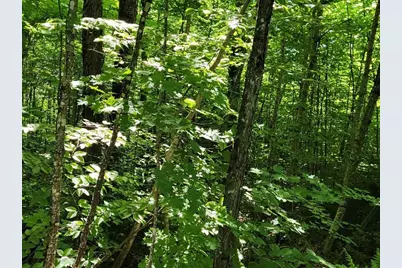 Lot 26 Presidential View Lane, Bethlehem, NH 03574 - Photo 11