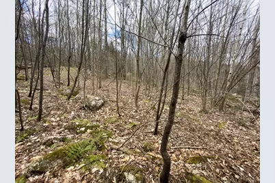 Lot 26 Presidential View Lane, Bethlehem, NH 03574 - Photo 27