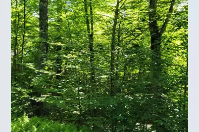 Lot 26 Presidential View Lane, Bethlehem, NH 03574 - Photo 3