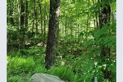 Lot 26 Presidential View Lane, Bethlehem, NH 03574 - Photo 9