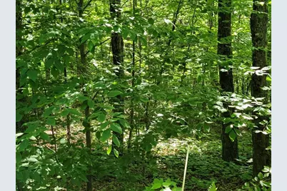 Lot 26 Presidential View Lane, Bethlehem, NH 03574 - Photo 9