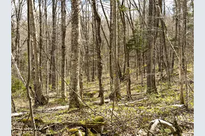 Lot 26 Presidential View Lane, Bethlehem, NH 03574 - Photo 31