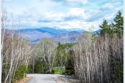 3-2 Mountainview Road #2, Bartlett, NH 03812 - Photo 3