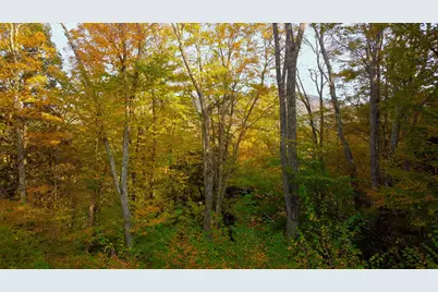 463 Old Talc Mine Road, Waitsfield, VT 05676 - Photo 13