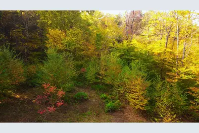 463 Old Talc Mine Road, Waitsfield, VT 05676 - Photo 7