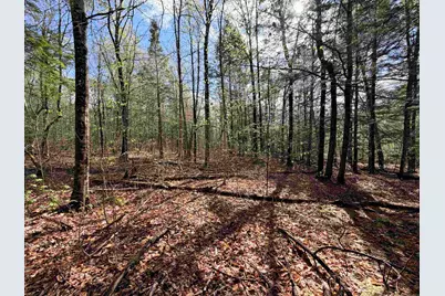 0 N Old Branch Road, Antrim, NH 03440 - Photo 3