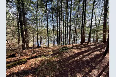 0 N Old Branch Road, Antrim, NH 03440 - Photo 5