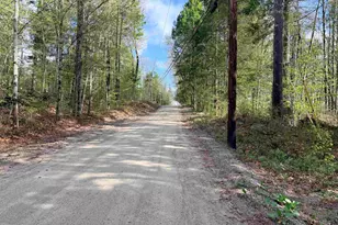 0 N Old Branch Rd, Antrim, NH 03440 - Photo 1