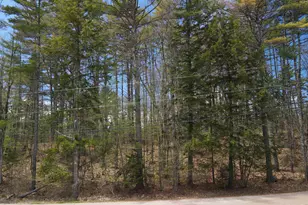 12 Eidelweiss Dr, Madison, NH 03849 - Photo 1