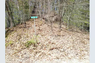 12 Eidelweiss Drive, Madison, NH 03849 - Photo 5