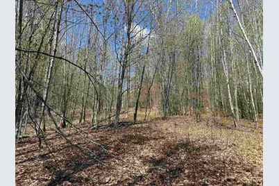 2527 Bent Hill Road, Braintree, VT 05060 - Photo 7