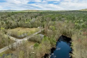 41 Franklin Pierce Dr, Webster, NH 03303 - Photo 55