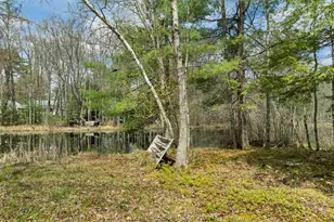 41 Franklin Pierce Dr, Webster, NH 03303 - Photo 51